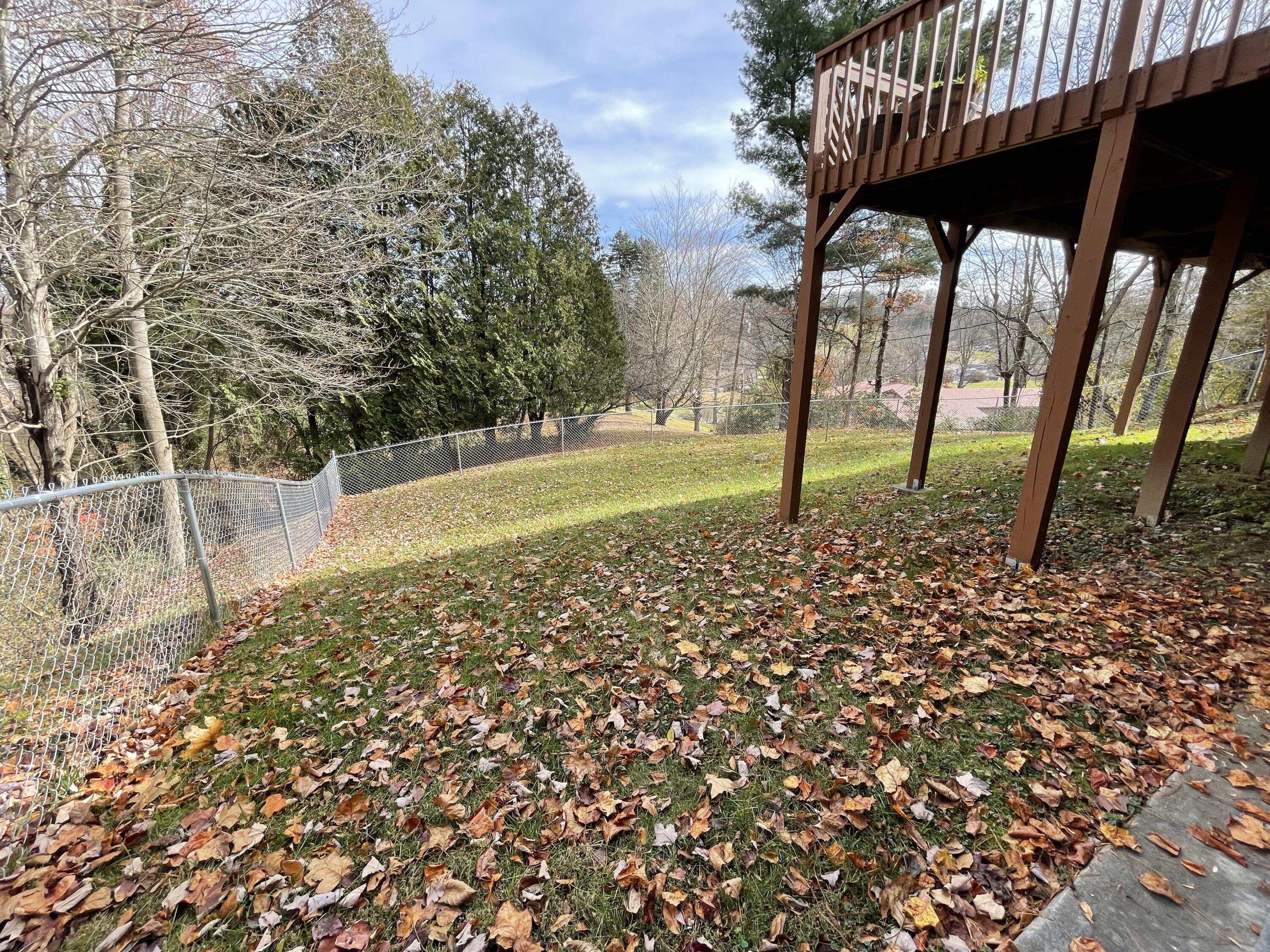 149 Ridgefield Road Southwest Wise, VA 24293 - Photo 59 of 59 fenced in yard