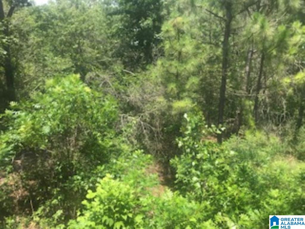 175 Myra's Way Pell City, AL 35128 - Photo 33 of 33