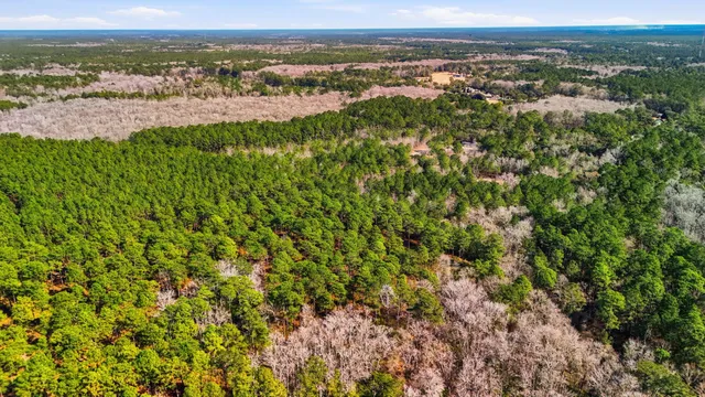 $125,000 | 0 Gertie Lane, Cordesville, SC 29434