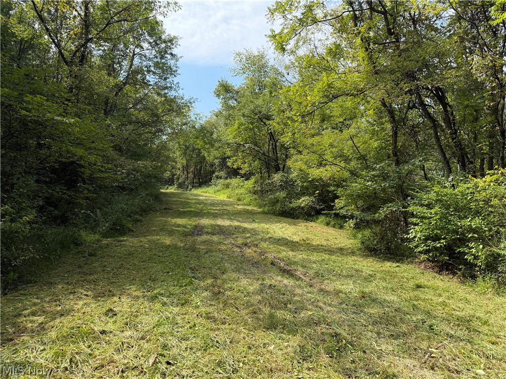 0 Harrons Ridge Road Dexter City, OH 45727 - Photo 12 of 33 Gallery Image 12