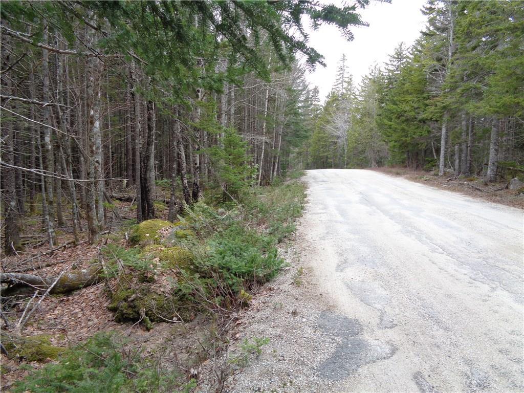 Lot 70-7 Peninsula Road Corea, ME 04624 - Photo 4 of 14 Photo