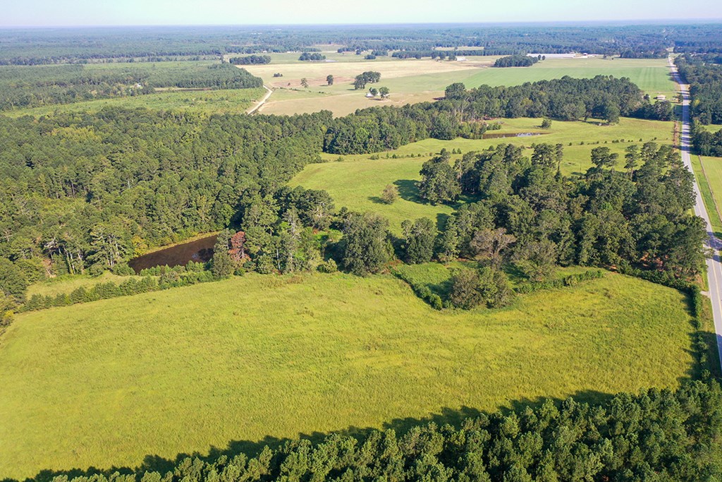 6163 Fruit Hill Road Saluda, SC 29138 - Photo 4 of 17 Gallery Image 4