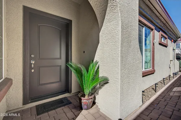 a potted plant sitting in front of a door