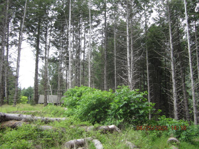 313 Ridge Road Shelter Cove, CA 95589 - Photo 14 of 20