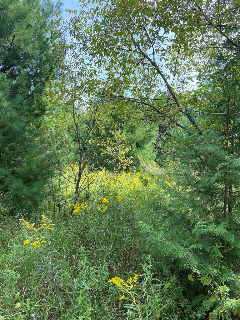 Lot 11 Heritage Meadows Road Egg Harbor, WI 54209 - Photo 3 of 3