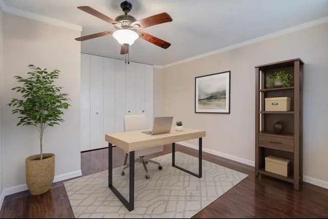 a living room with furniture and a potted plant