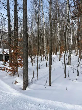 $415,000 | 10140 Alpine Drive, Reed City, MI 49677