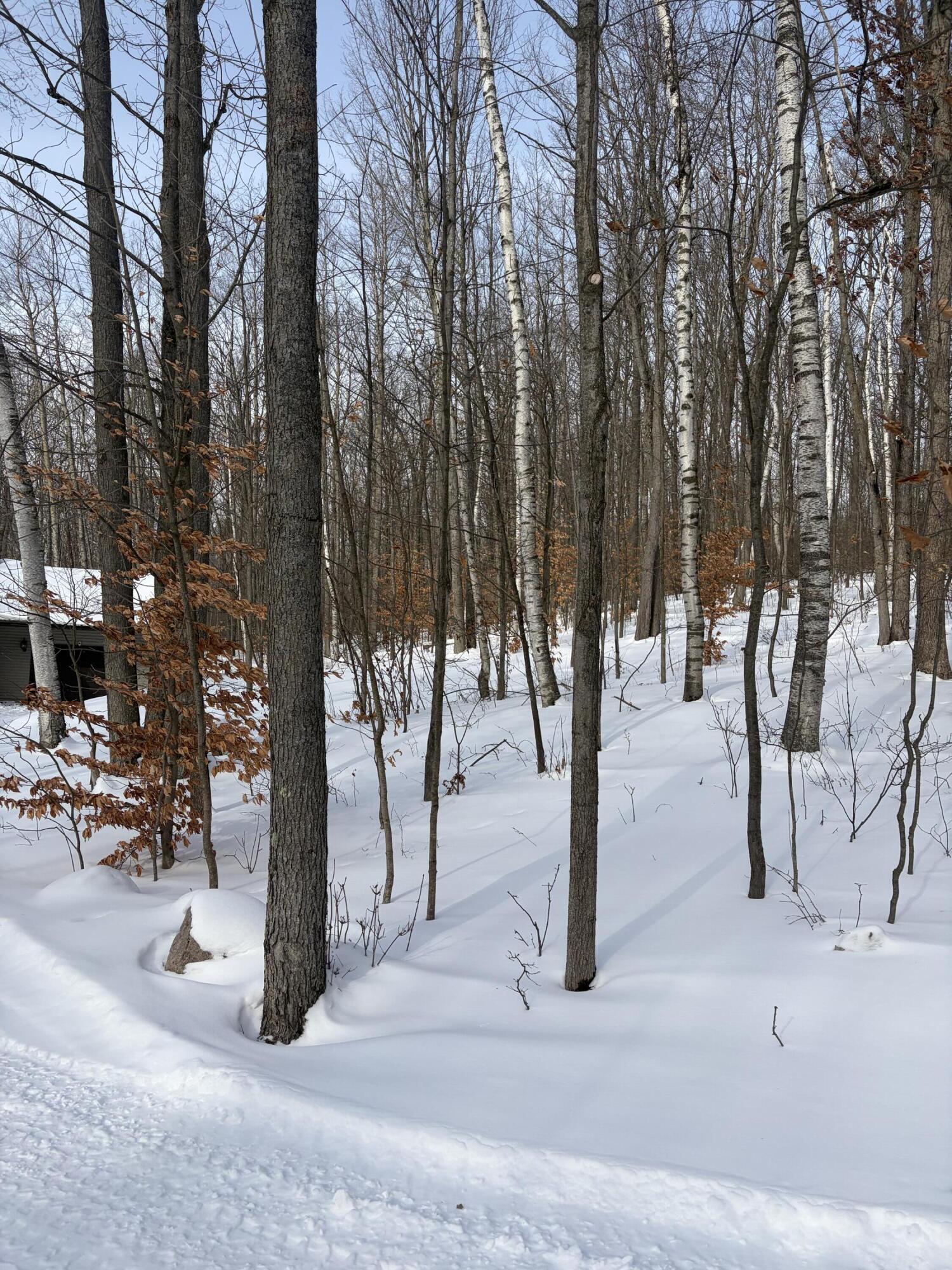 10140 Alpine Drive Reed City, MI 49677 - Photo 15 of 70 IMG_1088