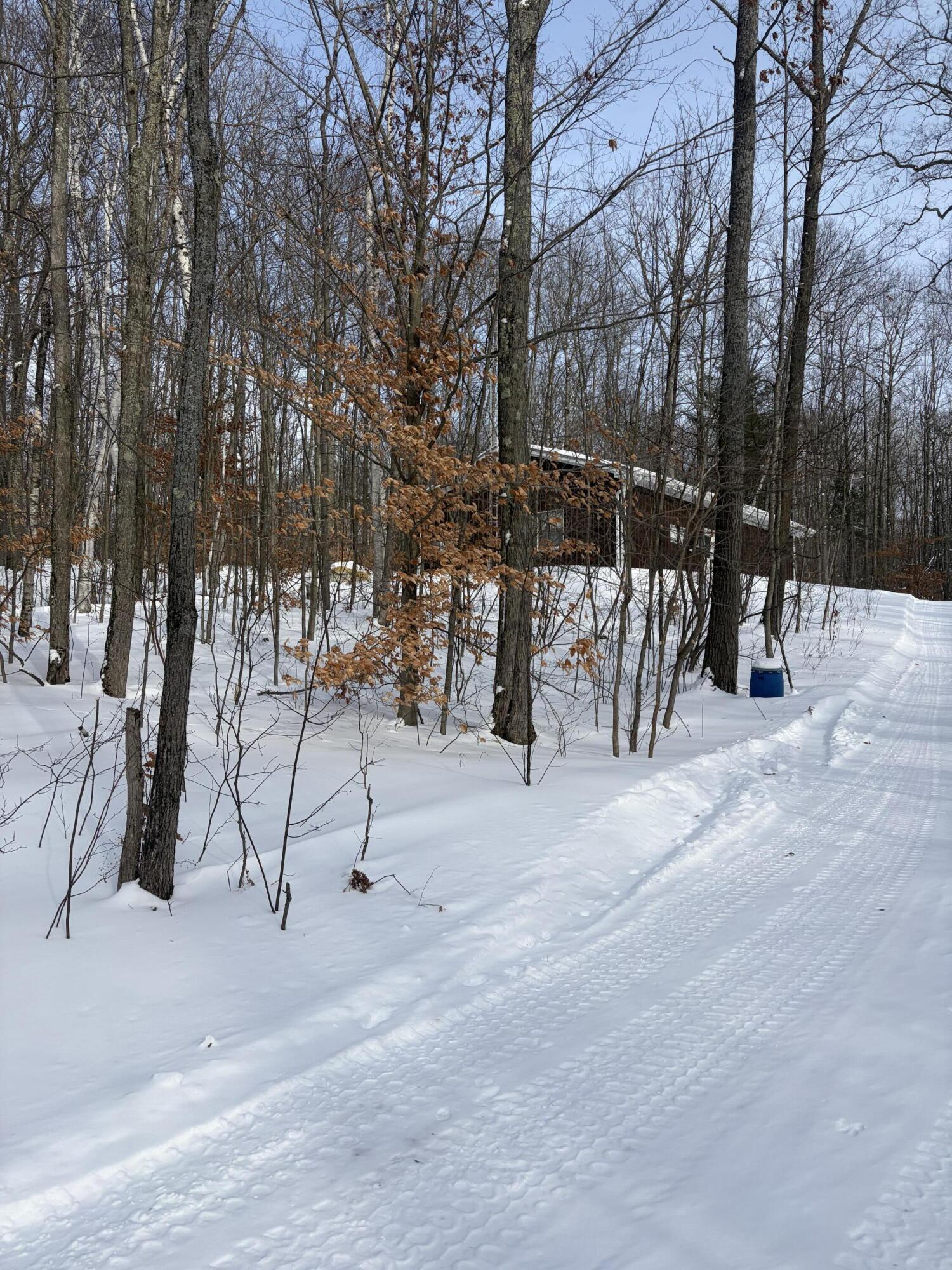 10140 Alpine Drive Reed City, MI 49677 - Photo 16 of 70 IMG_1087