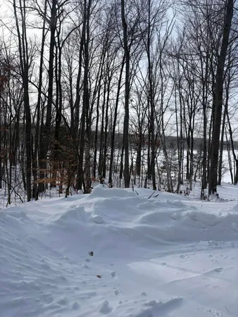 $415,000 | 10140 Alpine Drive, Reed City, MI 49677