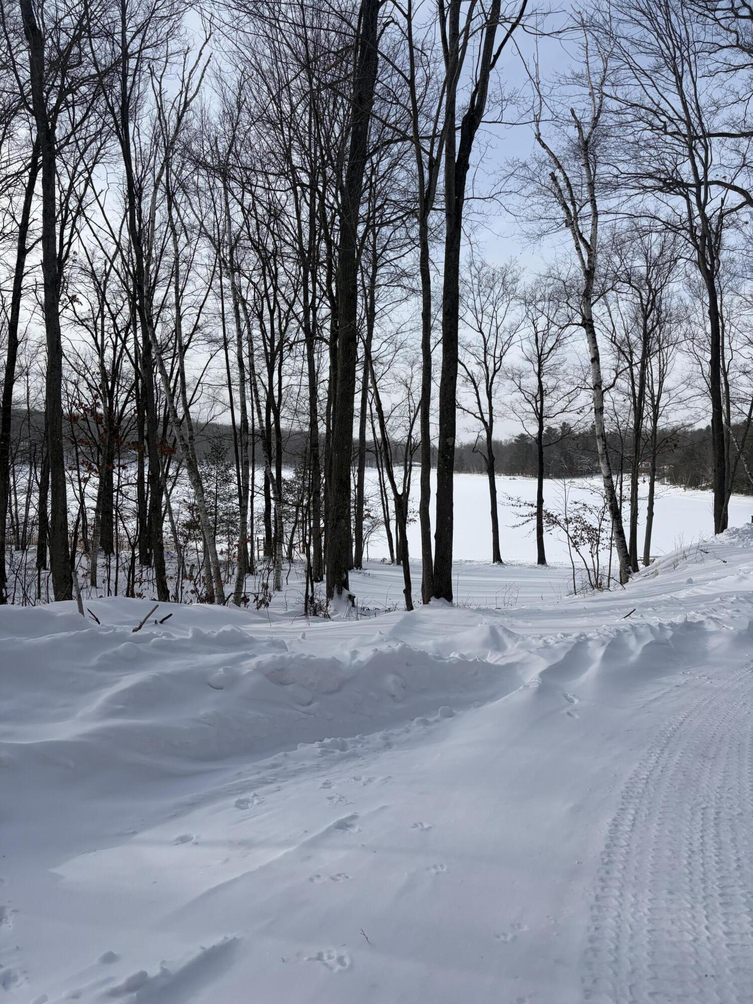 10140 Alpine Drive Reed City, MI 49677 - Photo 18 of 70 IMG_1085