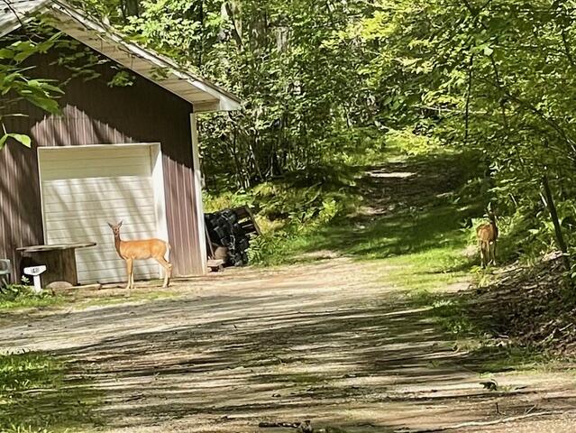 10140 Alpine Drive Reed City, MI 49677 - Photo 69 of 70 FullSizeRender