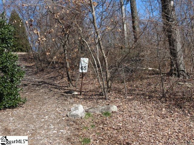 103 Raven Road, Unit SEC 3 LOT # 65 Landrum, SC 29356 - Photo 3 of 36 Gallery Image 3