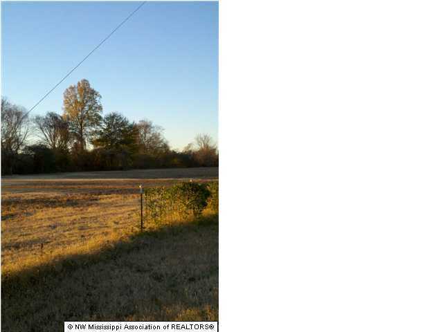 163 Cliff Williams Road Senatobia, MS 38668 - Photo 1 of 6 Primary Photo
