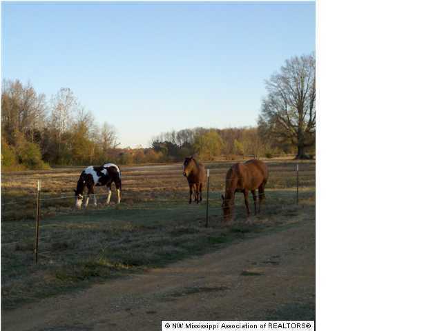 163 Cliff Williams Road Senatobia, MS 38668 - Photo 3 of 6 Additional Photo