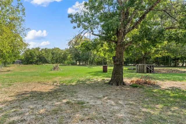 a view of a big yard with a large trees