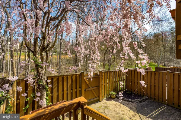 a view of a yard and trees