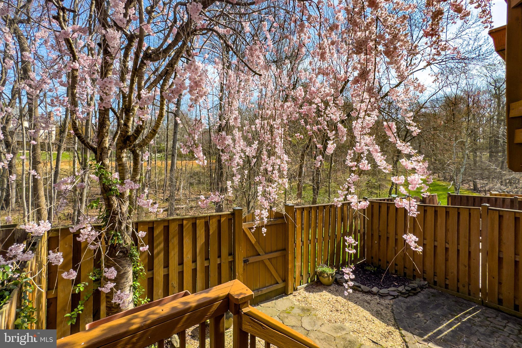 7923 Valleyfield Drive Springfield, VA 22153 - Photo 23 of 51 a backyard of a house with a tree