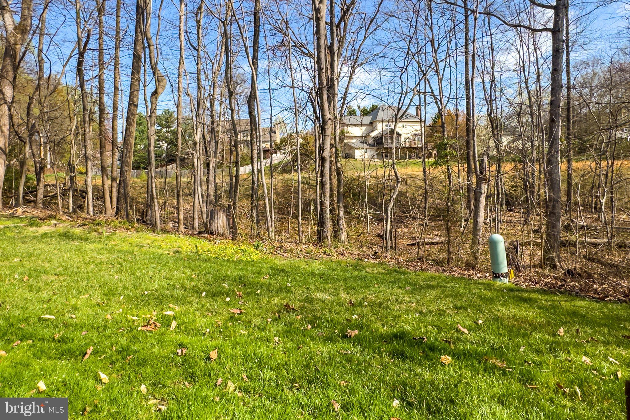 7923 Valleyfield Drive Springfield, VA 22153 - Photo 50 of 51 a view of outdoor space with garden