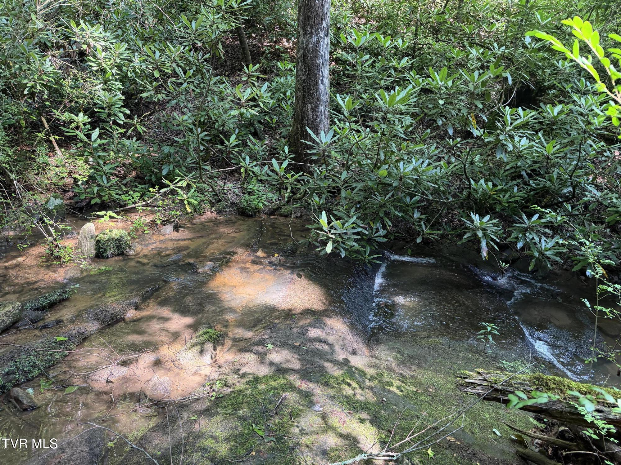 0 East Highway 25 70, Unit 9 Del Rio, TN 37727 - Photo 10 of 19 IMG_6574