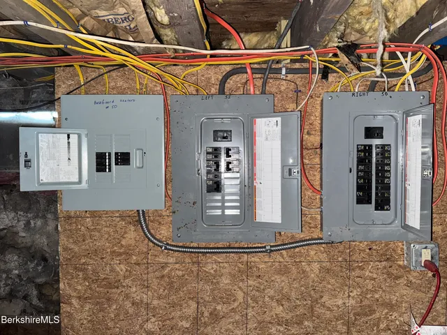 a view of a park with large trees