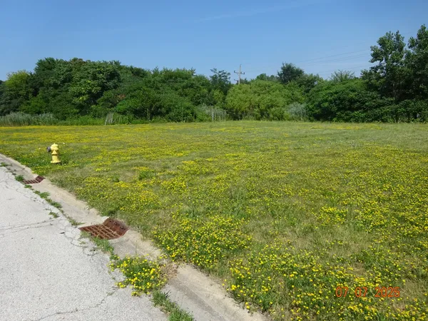 $63,000 | 20015 Delphi Drive, Olympia Fields, IL 60461