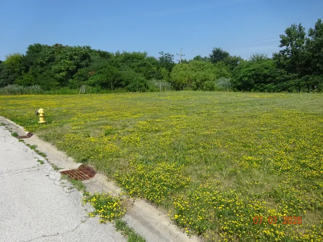 $63,000 | 20015 Delphi Drive, Olympia Fields, IL 60461