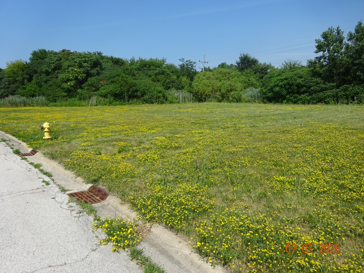 20015 Delphi Drive Olympia Fields, IL 60461 - Photo 2 of 2