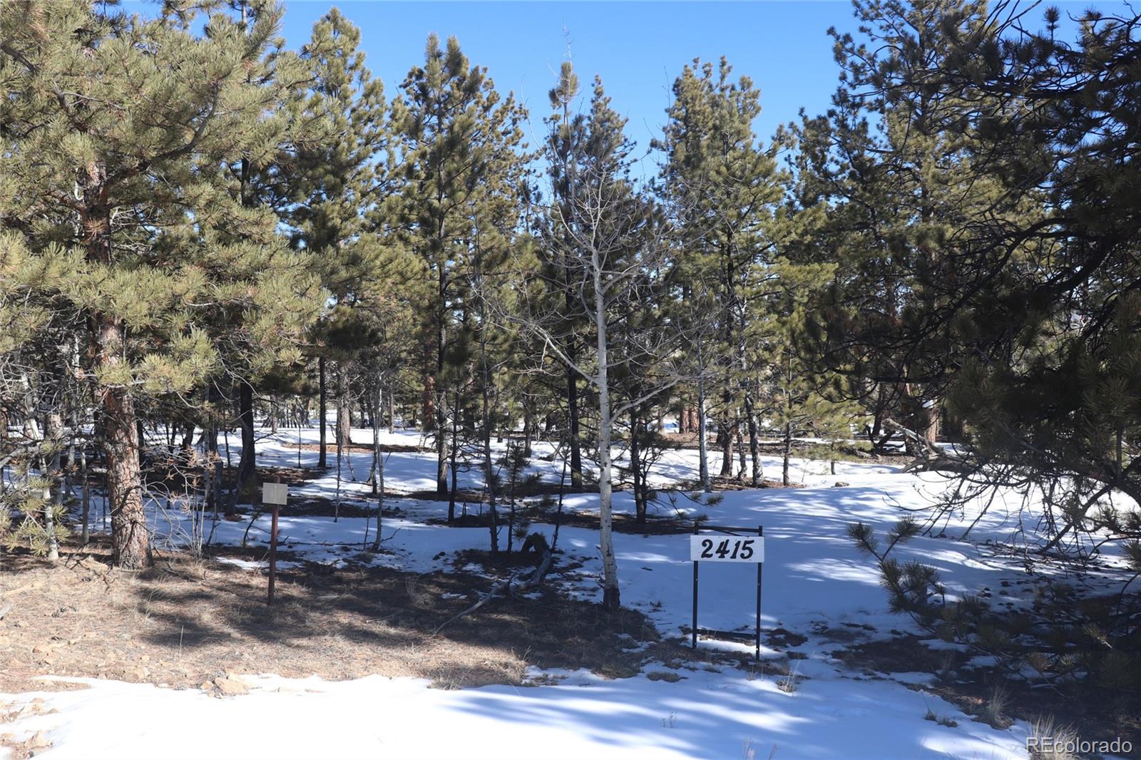 2415 Wagon Wheel Road Hartsel, CO 80449 - Photo 1 of 14 Gallery Image 1