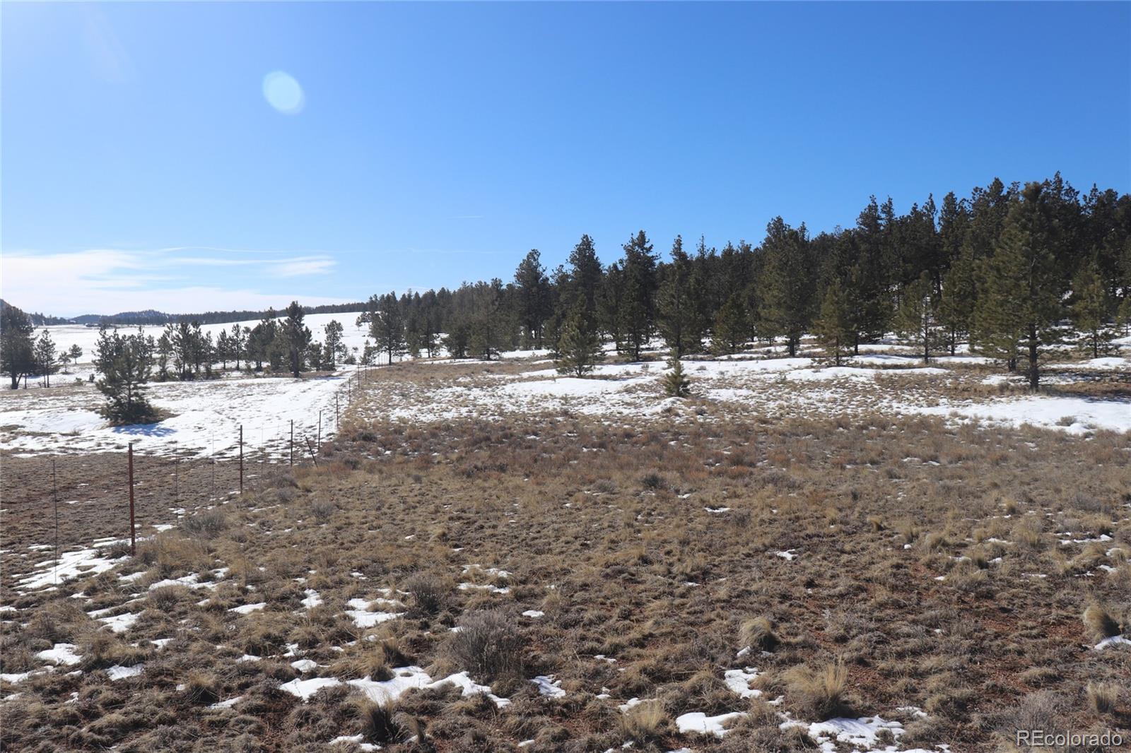 2415 Wagon Wheel Road Hartsel, CO 80449 - Photo 11 of 14 Gallery Image 11