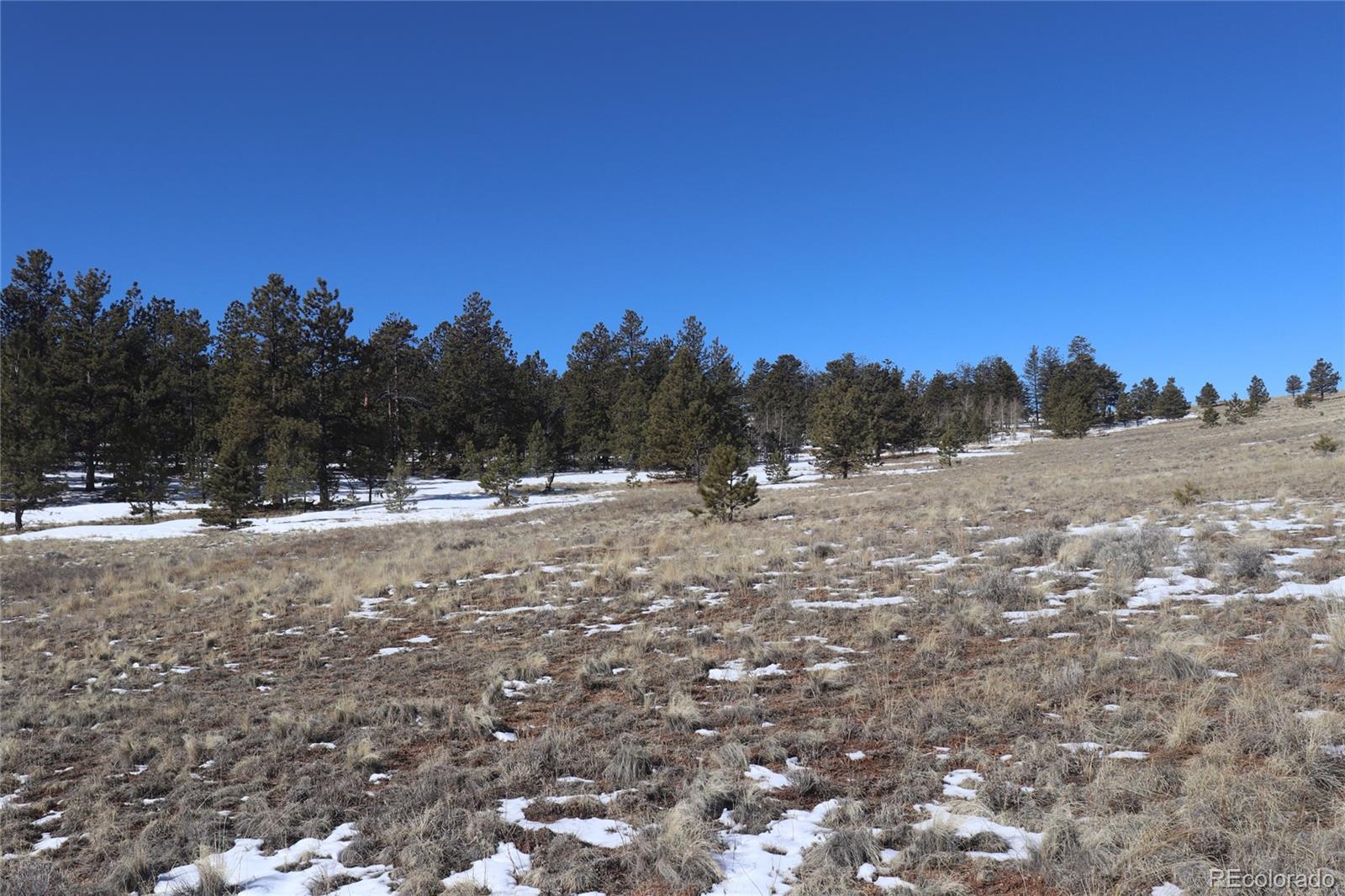 2415 Wagon Wheel Road Hartsel, CO 80449 - Photo 14 of 14 Gallery Image 14