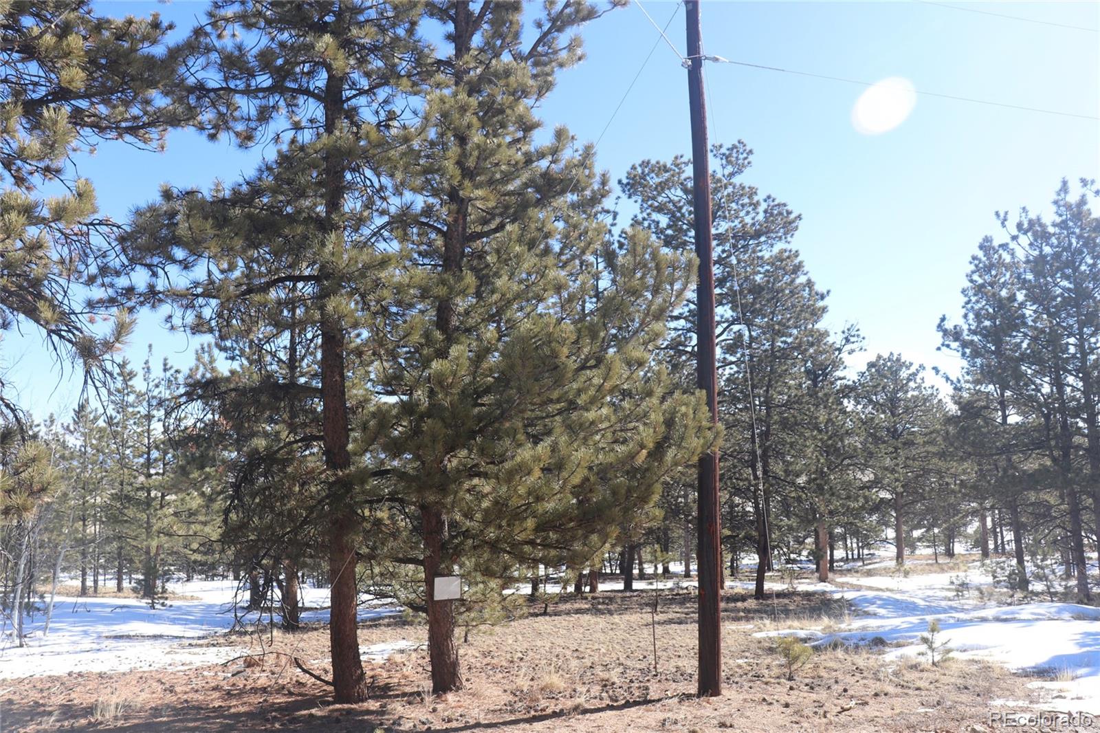2415 Wagon Wheel Road Hartsel, CO 80449 - Photo 4 of 14 Gallery Image 4