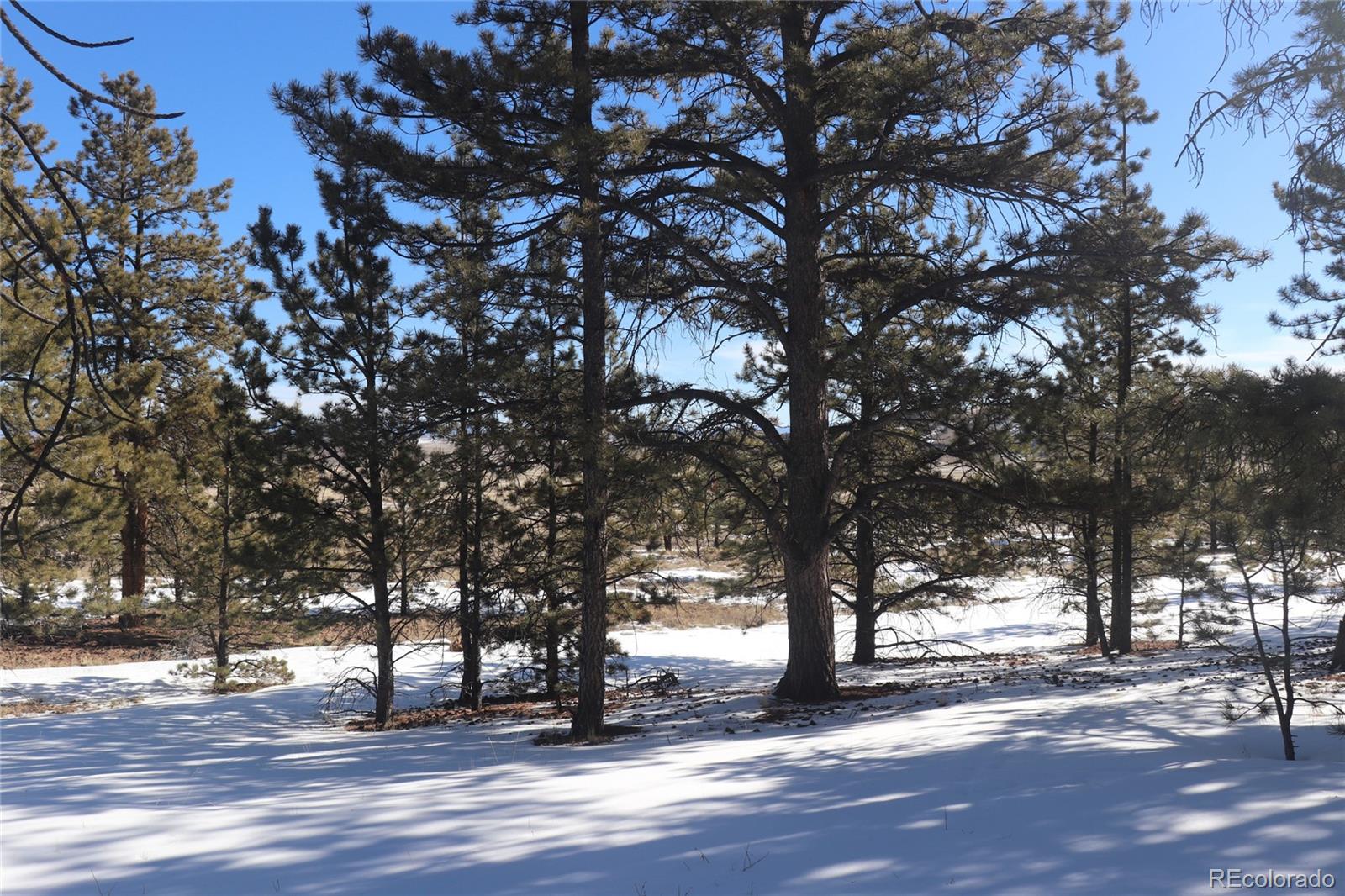2415 Wagon Wheel Road Hartsel, CO 80449 - Photo 6 of 14 Gallery Image 6