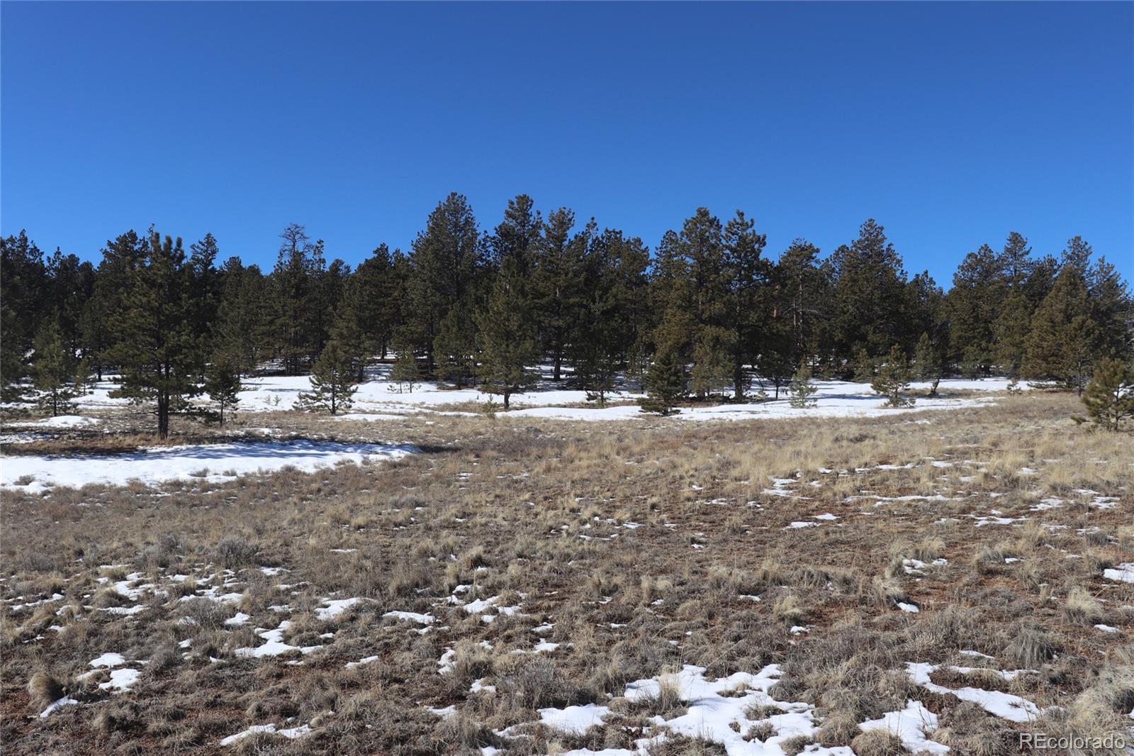 2415 Wagon Wheel Road Hartsel, CO 80449 - Photo 9 of 14 Gallery Image 9