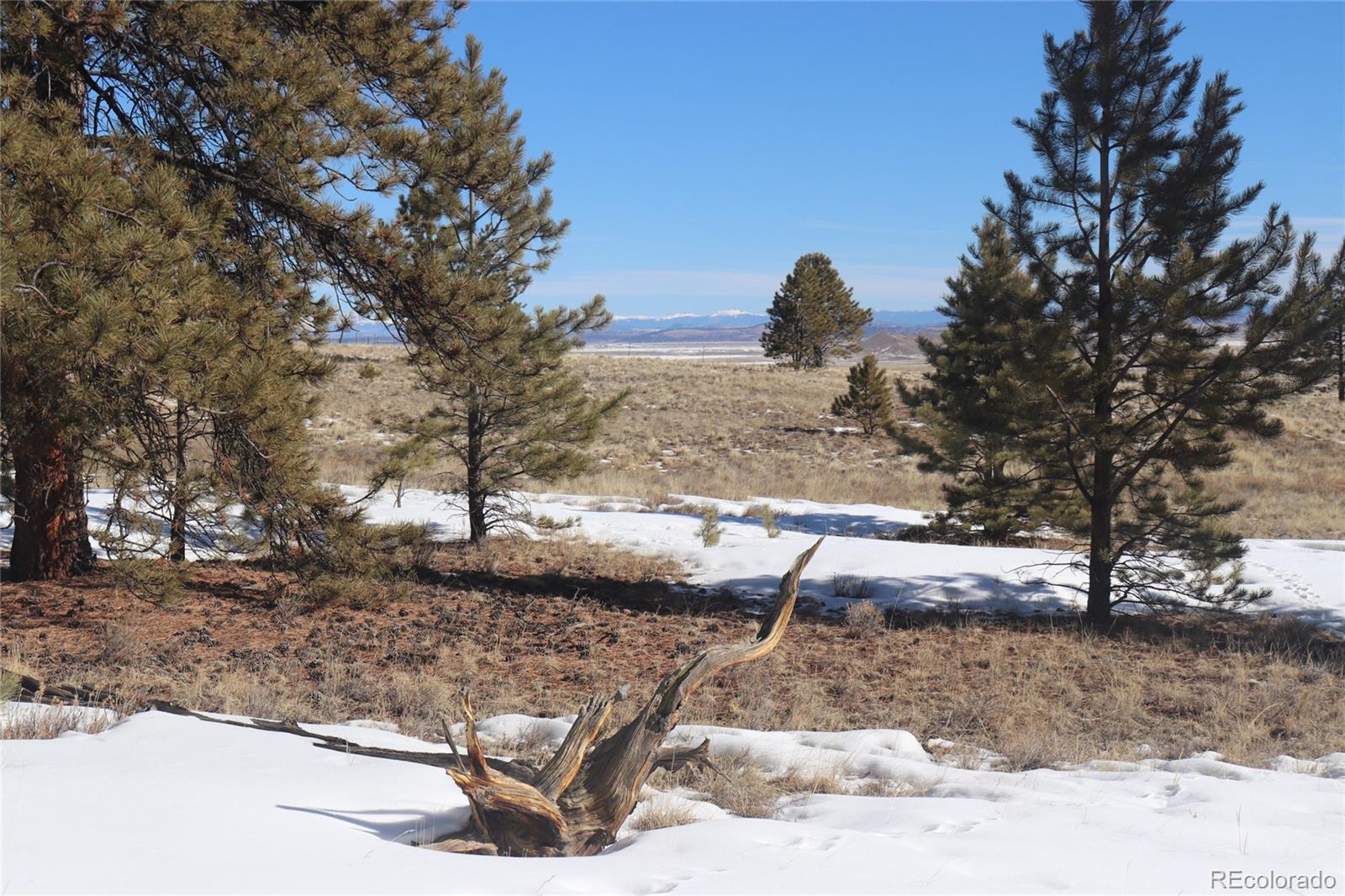 2415 Wagon Wheel Road Hartsel, CO 80449 - Photo 10 of 14 Gallery Image 10