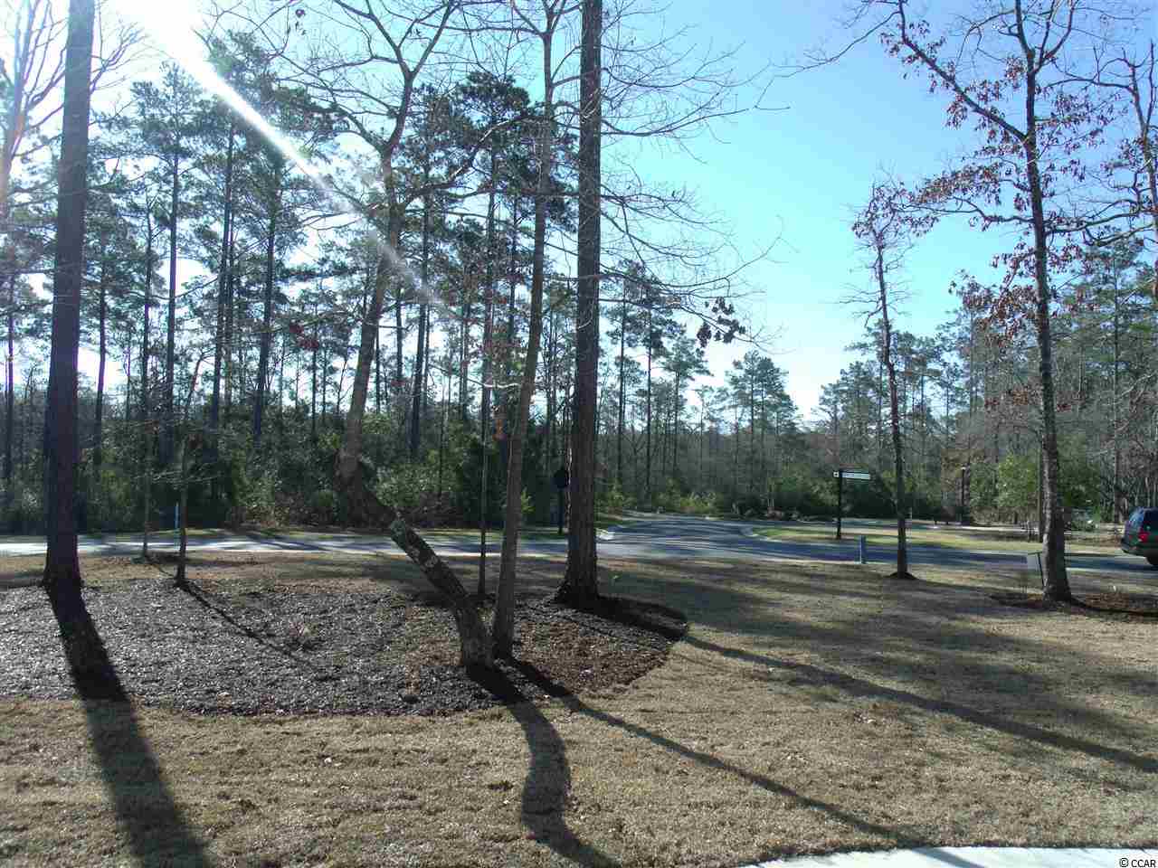 161 Low Country Loop Murrells Inlet, SC 29576 - Photo 16 of 25