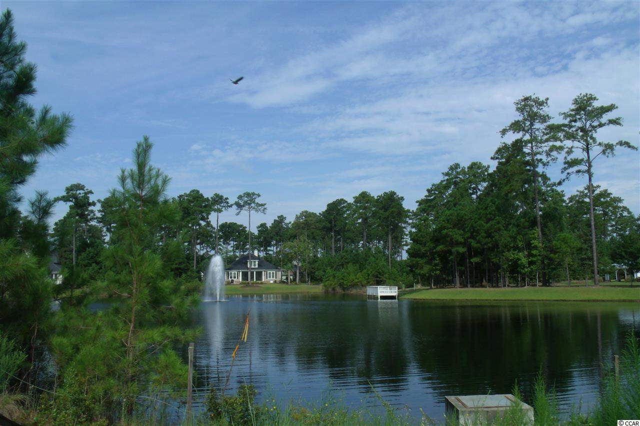161 Low Country Loop Murrells Inlet, SC 29576 - Photo 20 of 25