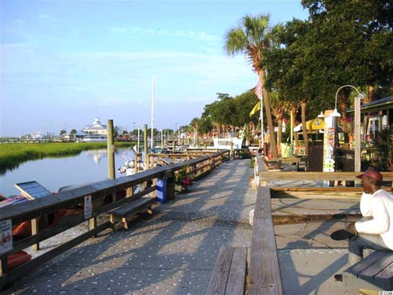 161 Low Country Loop Murrells Inlet, SC 29576 - Photo 21 of 25