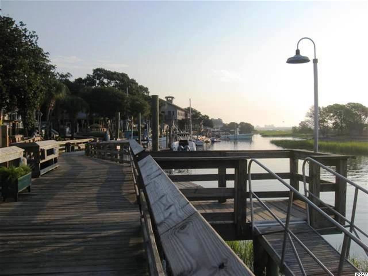 161 Low Country Loop Murrells Inlet, SC 29576 - Photo 23 of 25