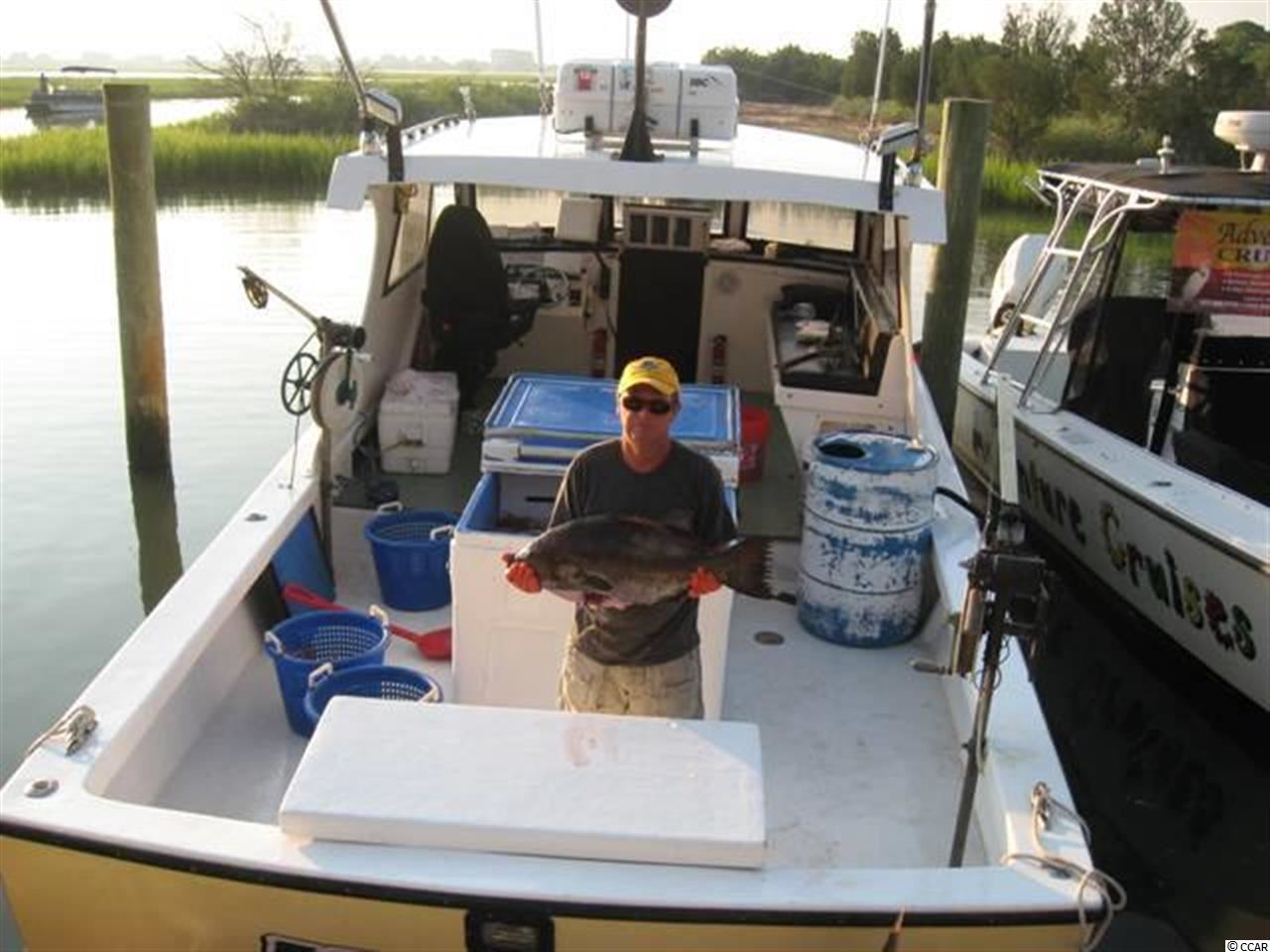 161 Low Country Loop Murrells Inlet, SC 29576 - Photo 25 of 25