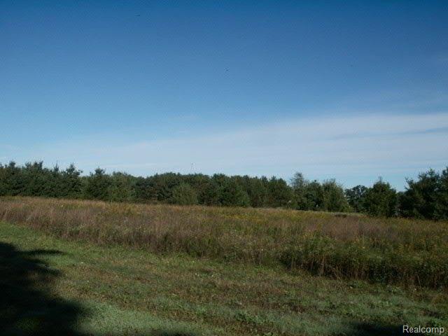 D Lamb Road Manchester, MI 48158 - Photo 10 of 11 PICT5374