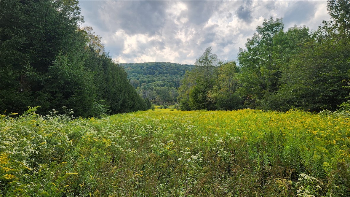 Humphrey Road Great Valley, NY 14741 - Photo 11 of 45 Shooting range field.