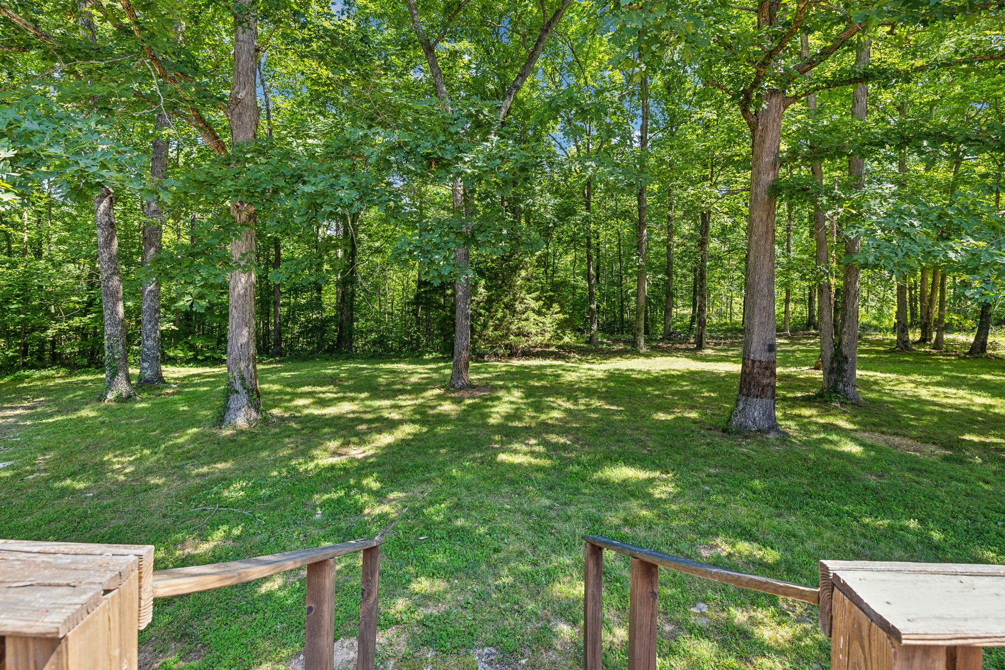 395 Claude Carroll Road Hohenwald, TN 38462 - Photo 9 of 34 Gallery Image 9