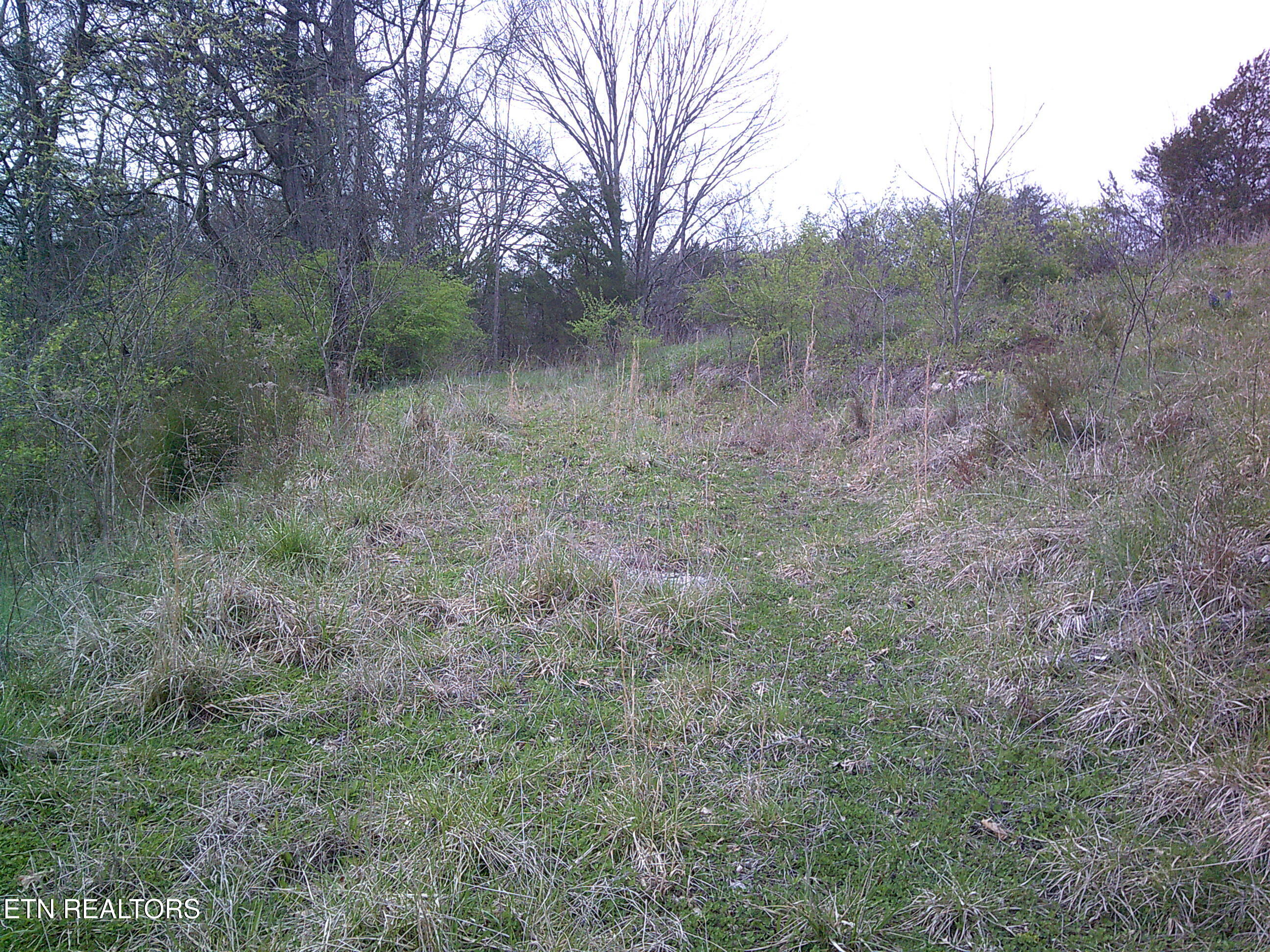 9927 Stringtown Road Strawberry Plains, TN 37871 - Photo 2 of 8 3) 69705-69d3f7144ebd0