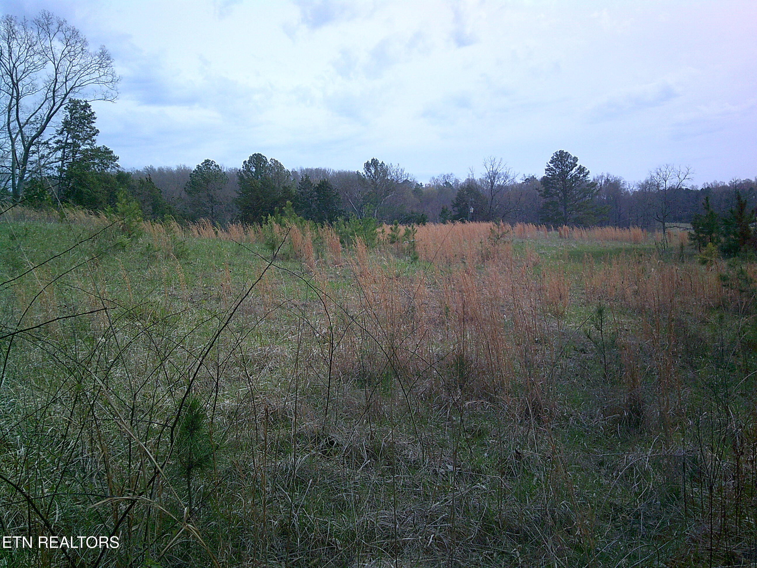 9927 Stringtown Road Strawberry Plains, TN 37871 - Photo 4 of 8 5) 69705-69d3f70b9300d