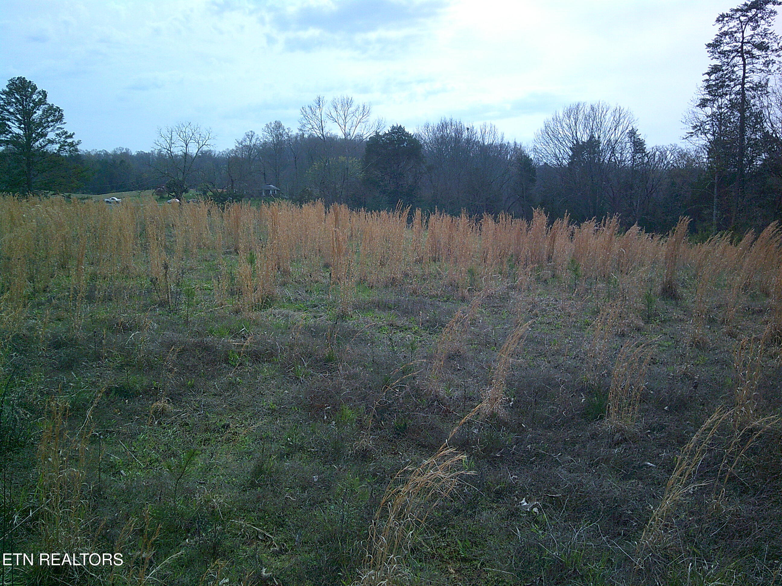 9927 Stringtown Road Strawberry Plains, TN 37871 - Photo 5 of 8 6) 69705-69d3f70b91af7