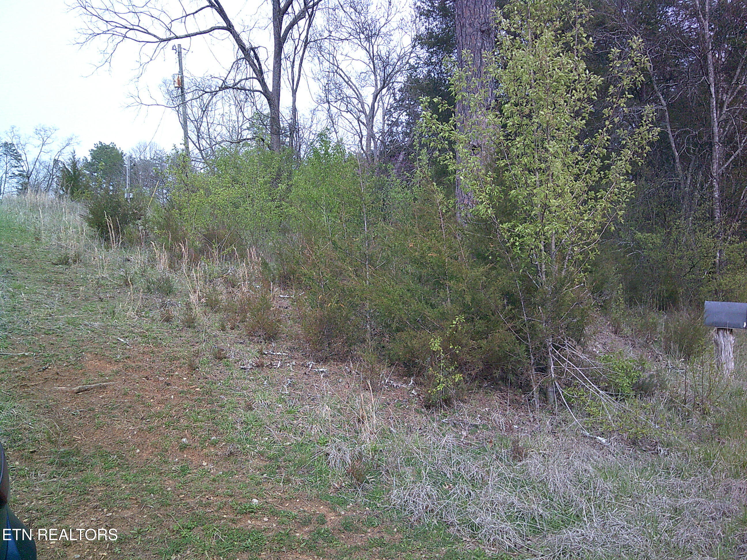 9927 Stringtown Road Strawberry Plains, TN 37871 - Photo 6 of 8 7) 69705-69d3f7152c12f