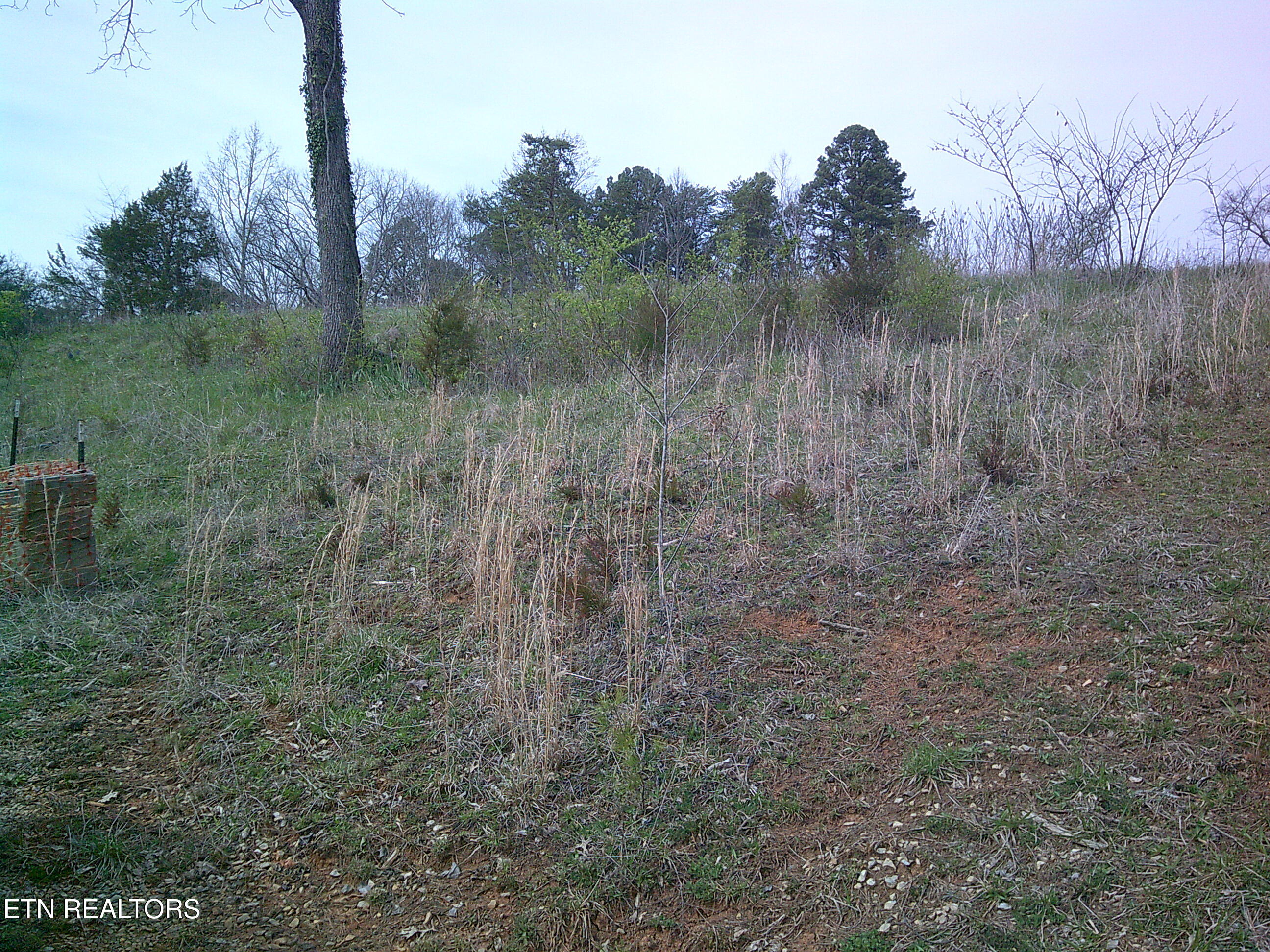 9927 Stringtown Road Strawberry Plains, TN 37871 - Photo 7 of 8 8) 69705-69d3f716b0651