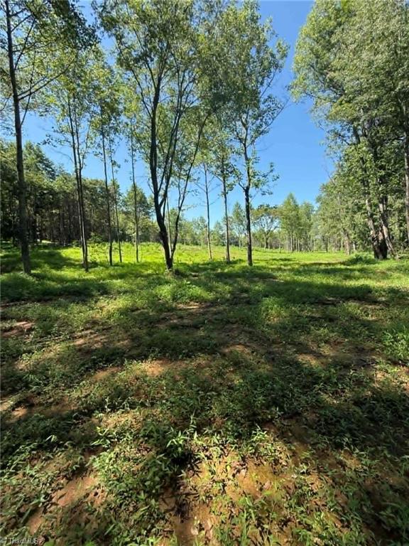 2633 Sprouse Road Boonville, NC 27011 - Photo 14 of 19