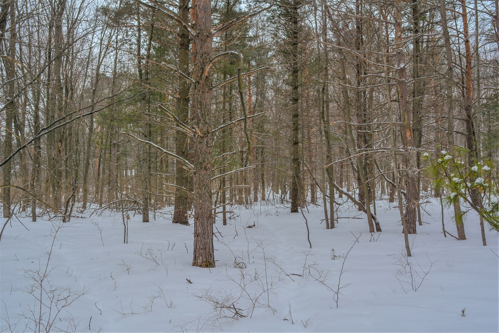 Lot 2 Daisy Patch Road Fish Creek, WI 54212 - Photo 10 of 14